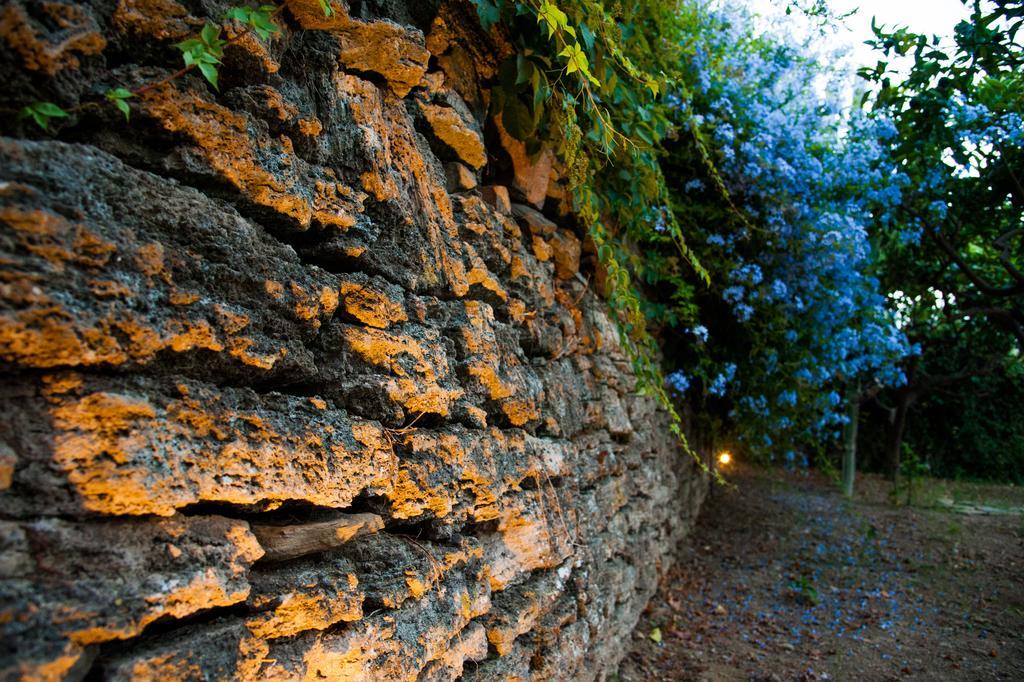Gli Aranci Bed and Breakfast Agropoli Eksteriør billede