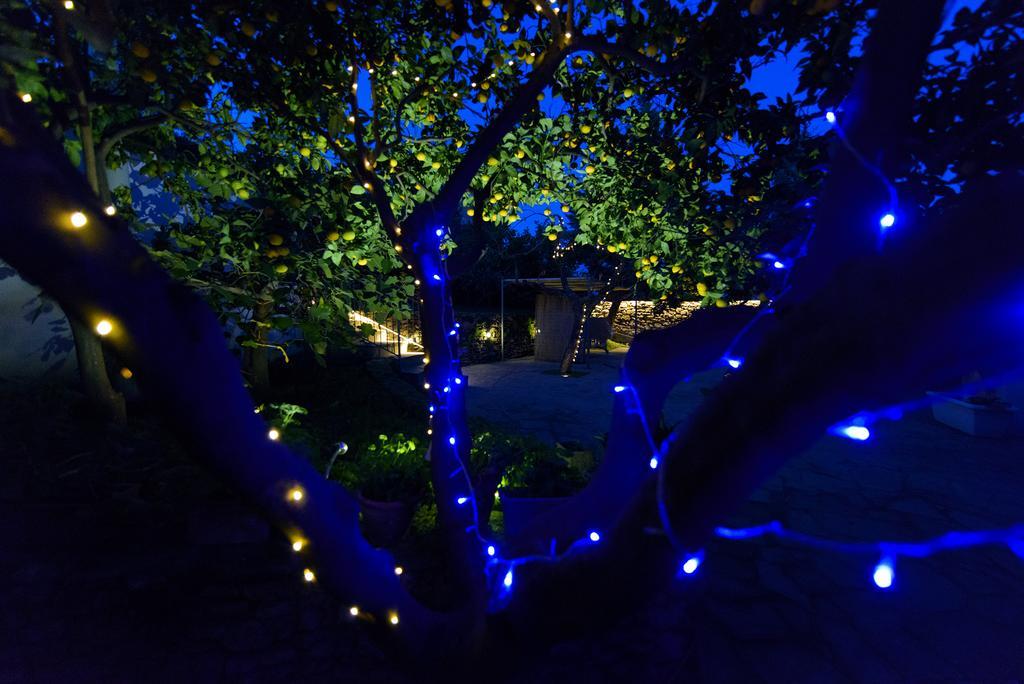 Gli Aranci Bed and Breakfast Agropoli Eksteriør billede