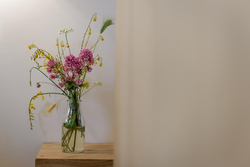 Gli Aranci Bed and Breakfast Agropoli Eksteriør billede