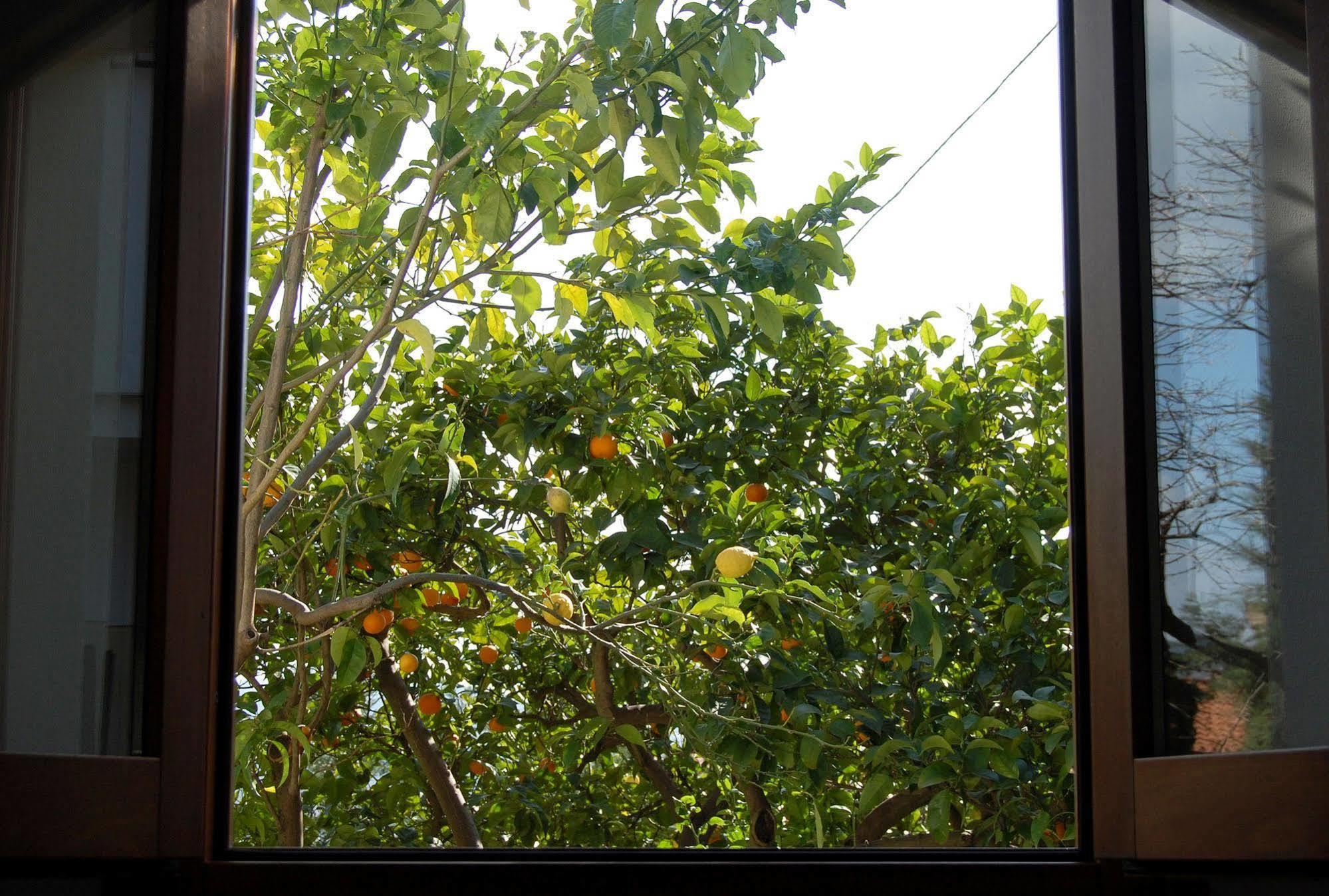 Gli Aranci Bed and Breakfast Agropoli Eksteriør billede