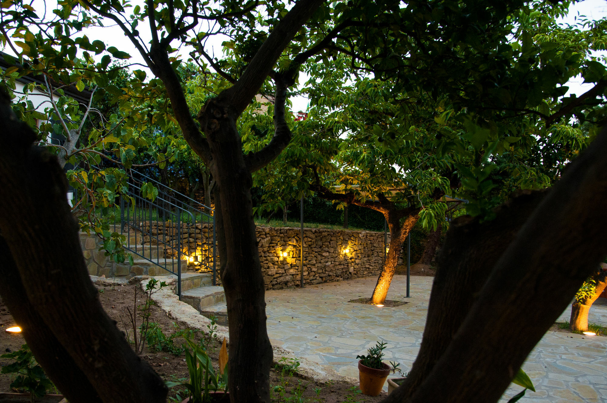 Gli Aranci Bed and Breakfast Agropoli Eksteriør billede